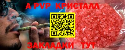 дмт Бийск