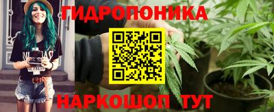 дмт Бийск