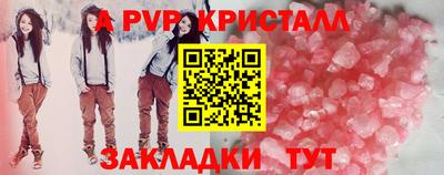 дмт Бийск