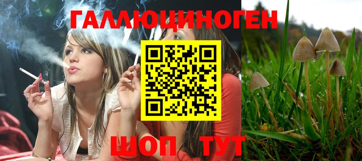Артёмовский  Галлюциногенные грибы Psilocybine cubensis  Вход с VPN 
